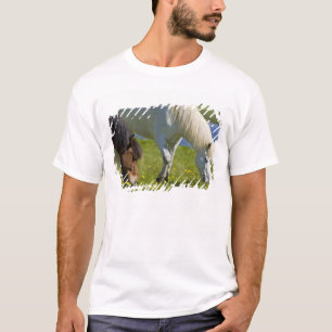 Icelandic Horses in western Iceland. T-Shirt