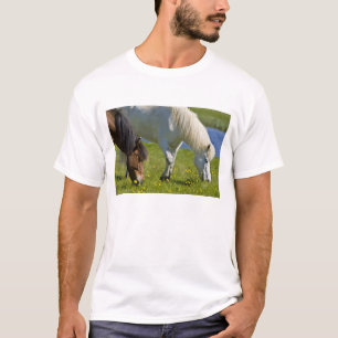 Icelandic Horses in western Iceland. T-Shirt