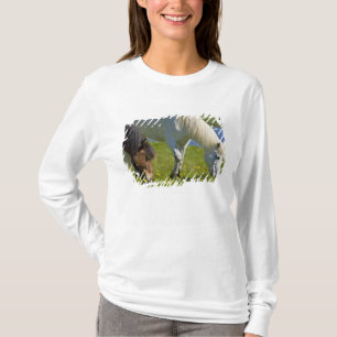 Icelandic Horses in western Iceland. T-Shirt
