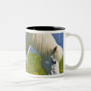 Icelandic Horses in western Iceland. Two-Tone Coffee Mug