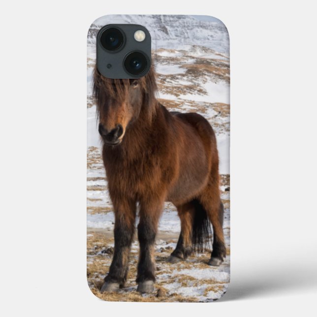 Icelandic Horses in Winter Case-Mate iPhone Case (Back)