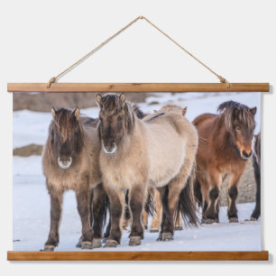 Icelandic Horses in Winter Near Hofn, Iceland Hanging Tapestry