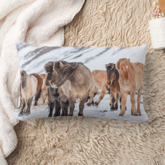 Icelandic Horses in Winter Pasture Near Hofn Lumbar Cushion (Blanket)