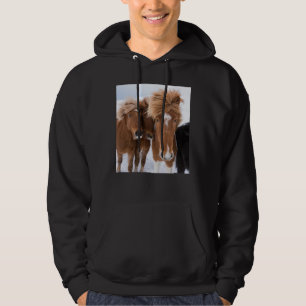 Icelandic Horses nuzzle, Iceland Hoodie