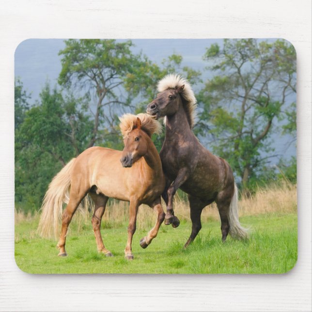 Icelandic horses playing and rearing mouse pad (Front)