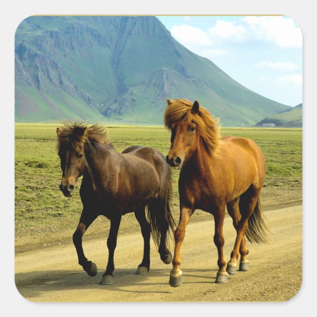 Icelandic Horses Square Sticker (Front)