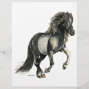 Icelandic mare Brana