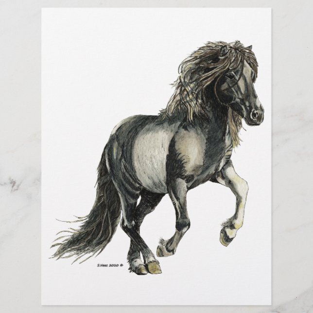 Icelandic mare Brana (Front)