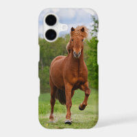 Icelandic Pony at a Tölt Funny Photo Horse Lovers