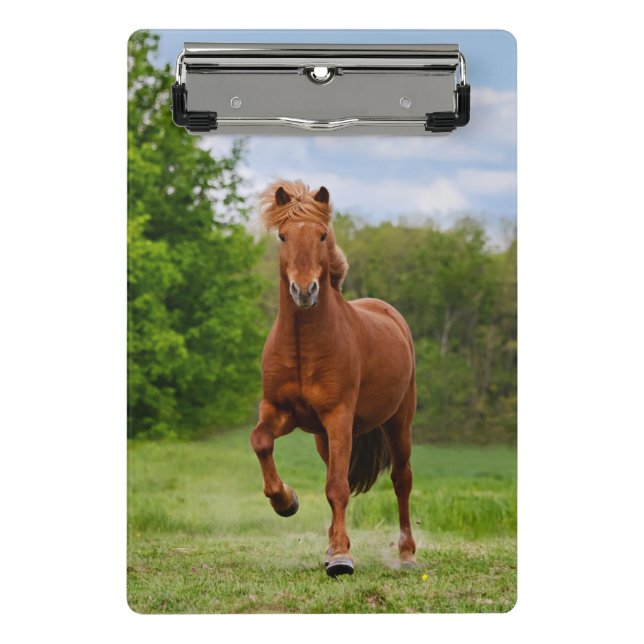 Icelandic Pony at a Tölt Funny Photo Horse Lovers Mini Clipboard (Front)