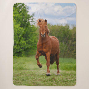 Icelandic Pony at a Tölt Funny Photo Horse Lovers Sherpa Blanket