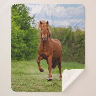 Icelandic Pony Runs Tölt Funny Photo Horse Lovers Sherpa Blanket