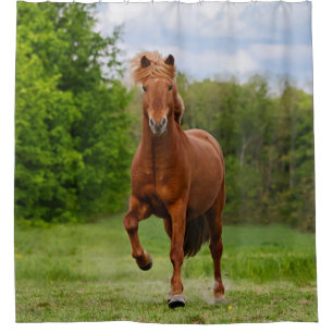 Icelandic Pony Tölt Funny Photo Horse Lovers - Tub Shower Curtain