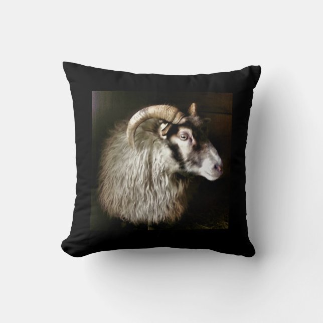 Icelandic SHEEP FAITH  Cushion (Front)