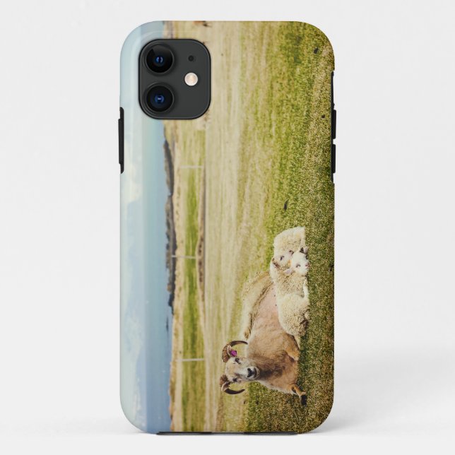 Icelandic Sheep iPhone case (Back)