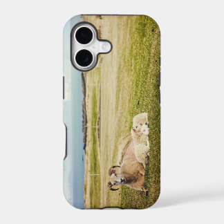 Icelandic Sheep iPhone case