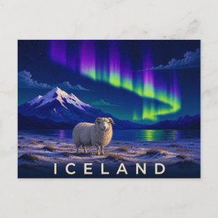 Icelandic Sheep Under the Aurora   Iconic Iceland Postcard