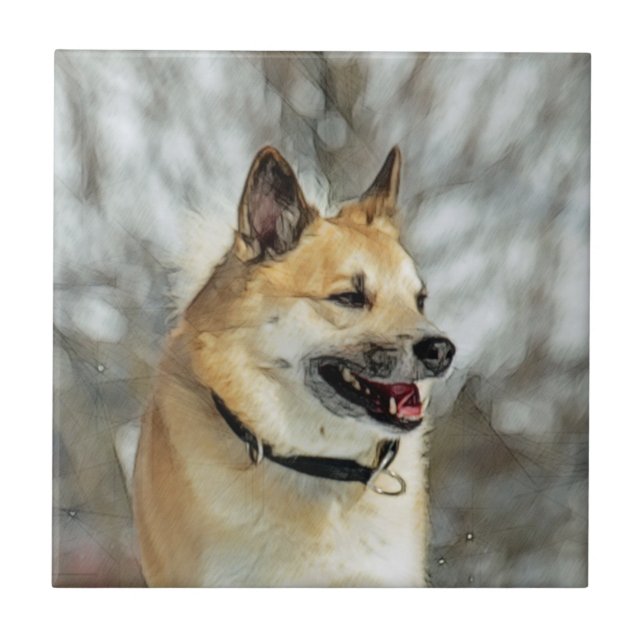 Icelandic Sheepdog 019 Tile (Front)