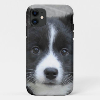 Icelandic Sheepdog 2014-0804 iPhone 11 Case