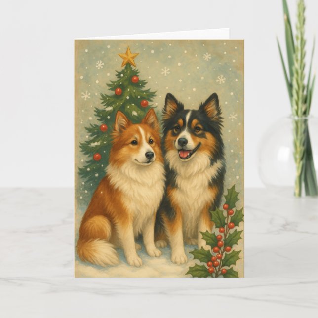 Icelandic Sheepdog Christmas Card (Front)