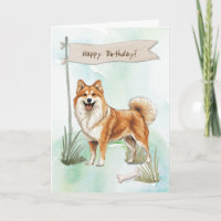 Icelandic Sheepdog Outdoors Under Birthday Sign