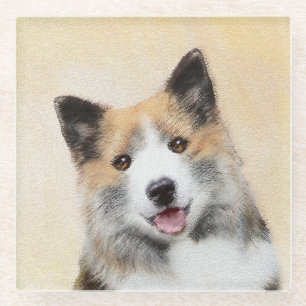 Icelandic Sheepdog Painting - Original Dog Art Glass Coaster