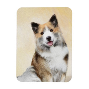 Icelandic Sheepdog Painting - Original Dog Art Magnet