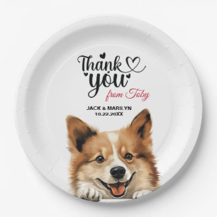 Icelandic Sheepdog Paper Plate