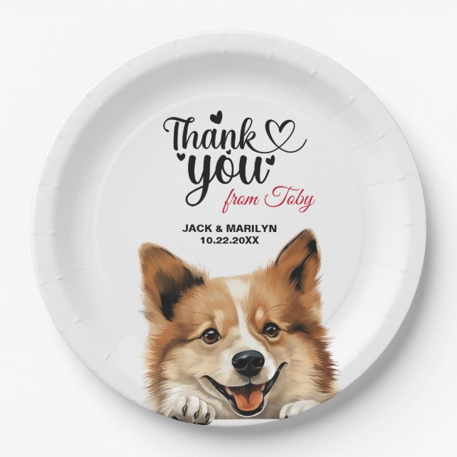 Icelandic Sheepdog Paper Plate (Front)