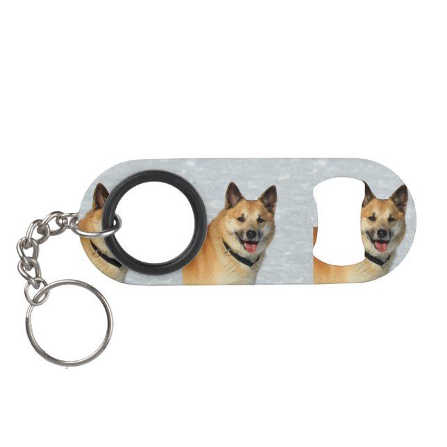 IcelandicSheepdog20150904 (Back Horizontal)