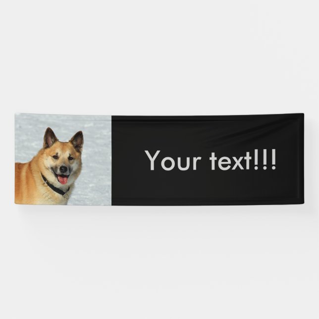 IcelandicSheepdog20150904 Banner (Horizontal)