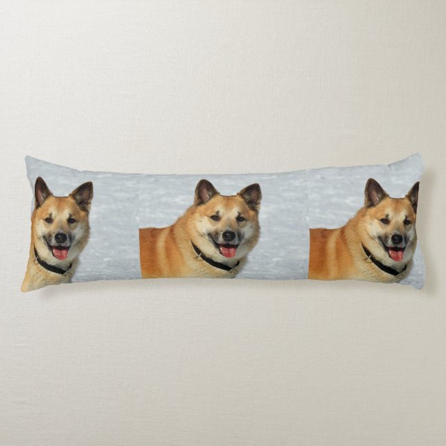 IcelandicSheepdog20150904 Body Cushion (Front)