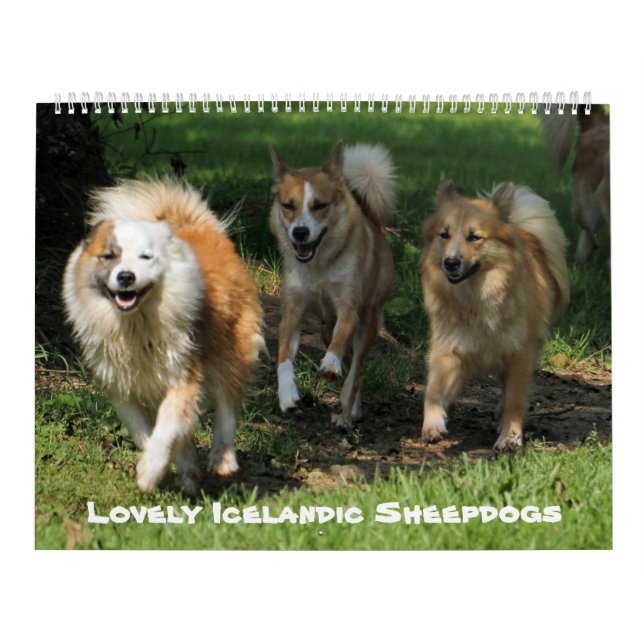 IcelandicSheepdog20151001 Calendar (Cover)