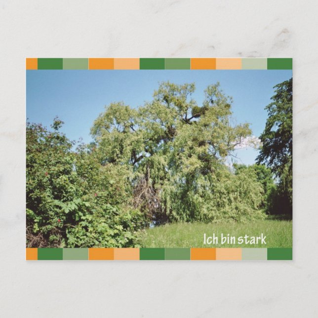 Ich bin stark postcard (Front)
