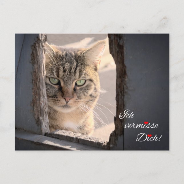 Ich vermisse Dich! Postcard (Front)