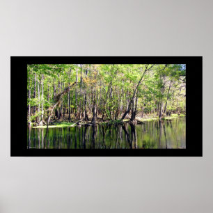Ichetucknee River Poster