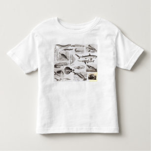 Ichthyology- Elasmobranch, Ganoid Toddler T-Shirt