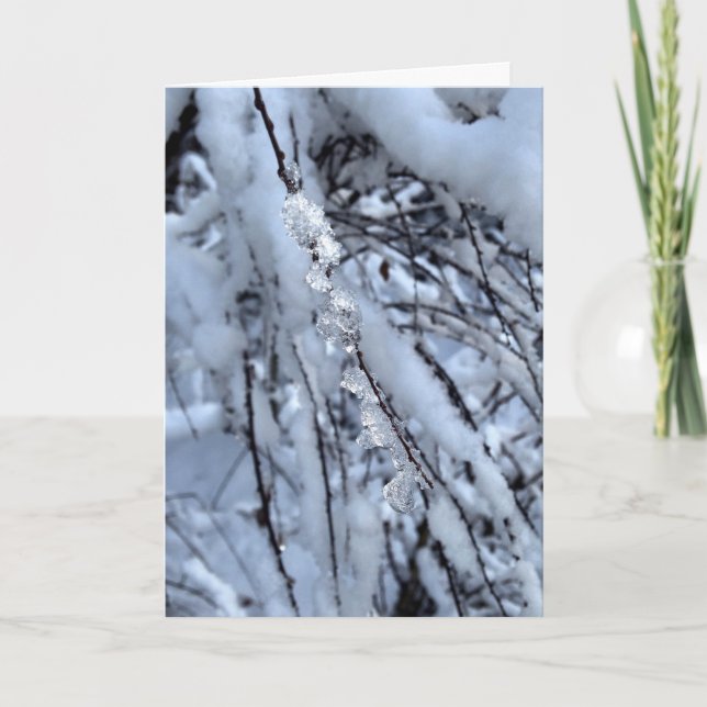 Icicle Holiday Card - Axial Tilt (Front)