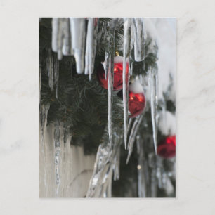 Icicles Postcard