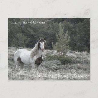 Icon of the Wild West - Postcard