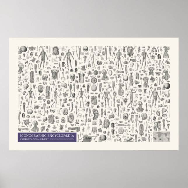 Iconography - Anthropology & Surgery Poster (Front)