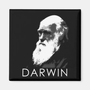 Icons of Science: Darwin Magnet