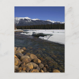 Icy Athabasca River Postcard