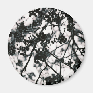 Icy Berries Magnet