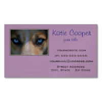 Icy Blue Canine Eyes