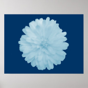 Icy Blue Marigold Poster