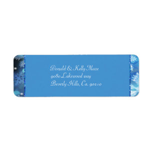 Icy Blue Winter Wonderland Wedding