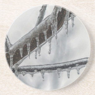 Icy Branch Coaster