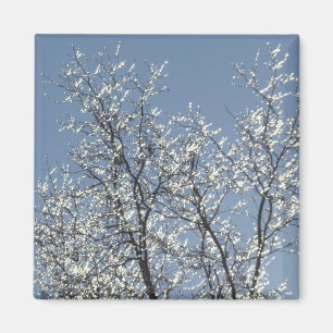 Icy Branches in Winter Blue Sky Magnet