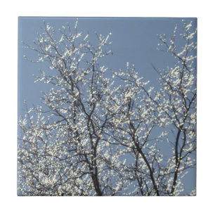 Icy Branches in Winter Blue Sky Tile